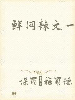 鲜网辣文一对一