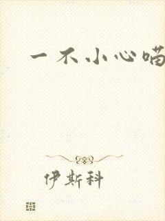 一不小心喵上你