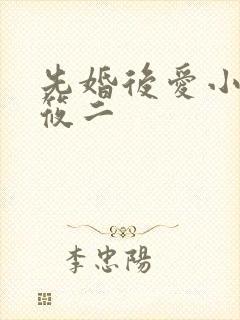 先婚后爱小说梦筱二