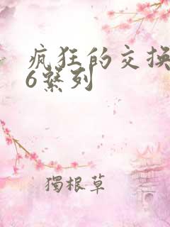 疯狂的交换1一6系列