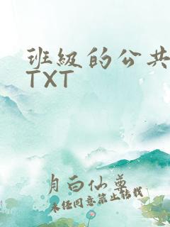 班级的公共玩具TXT
