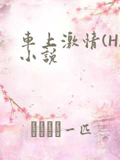 车上激情(H)小说