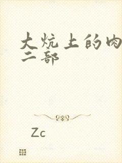 大炕上的肉伦第二部