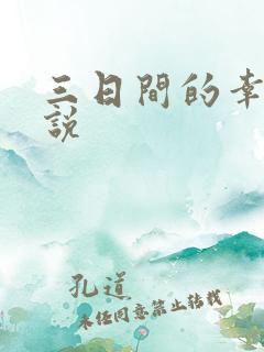 三日间的幸福小说