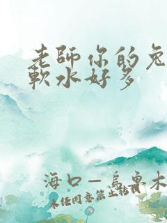 老师你的兔子好软水好多
