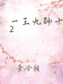 一王九帅十二宫2
