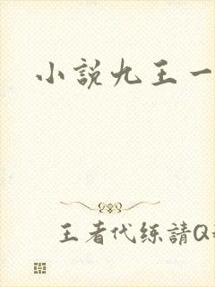 小说九王一后