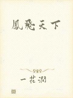 凤飞天下