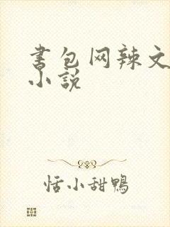 书包网辣文全本小说