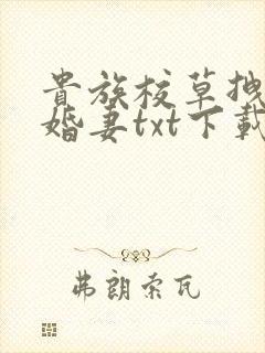 贵族校草拽拽未婚妻txt下载