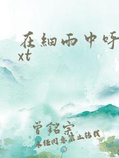 在细雨中呼喊txt