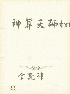 神算天师txt