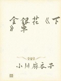 金银花《下厨房》车