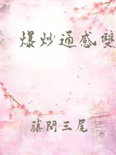 爆炒通感双胞胎