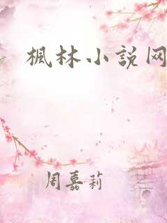 枫林小说网