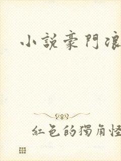 小说豪门浪荡史