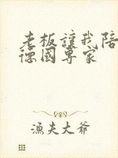 老板让我陪两个德国专家