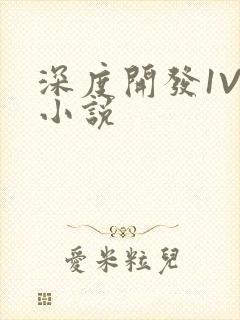 深度开发1V3小说