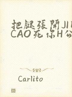 把腿张开JI巴CAO死你H公园