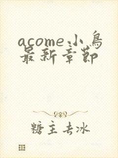 acome小鸟最新章节