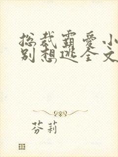 总裁霸爱小娇妻别想逃全文阅读免费