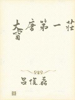 大唐第一庄无弹窗