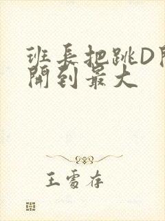 班长把跳D开关开到最大