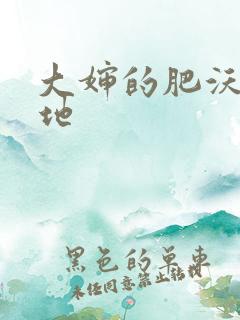 大婶的肥沃的土地