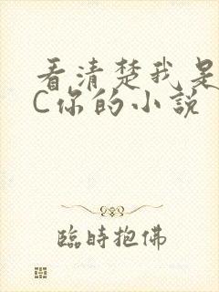 看清楚我是怎么C你的小说