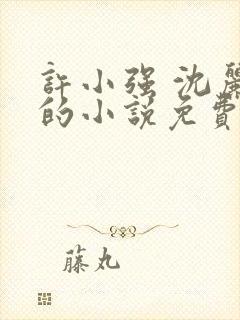 许小强 沈丽娟的小说免费阅读