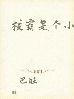 校霸是个小妖精