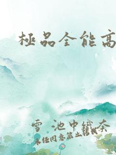 极品全能高手