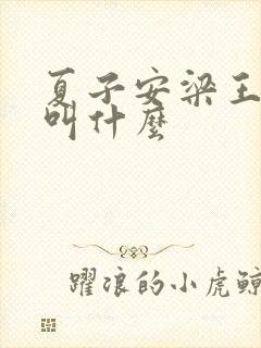 夏子安梁王书名叫什么