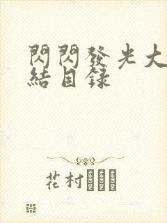 闪闪发光大团圆结目录