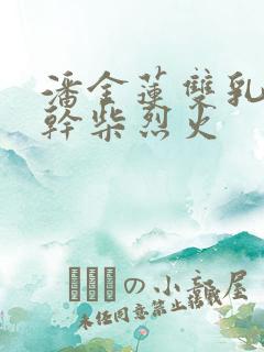 潘金莲双乳晃动干柴烈火