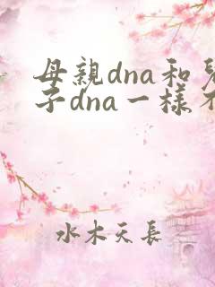 母亲dna和儿子dna一样不