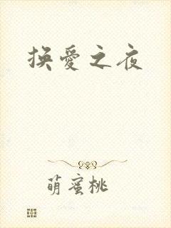换爱之夜