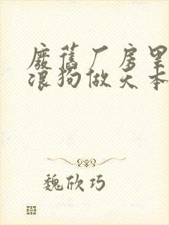 废旧厂房里和流浪狗做天本