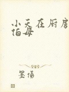 小天在厨房插杨伯母