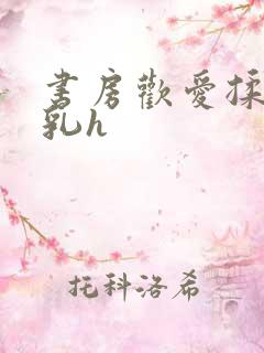 书房欢爱揉捏娇乳h