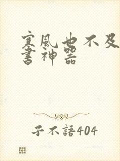 寒风也不及她追书神器