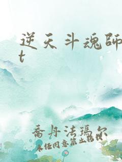 逆天斗魂师txt