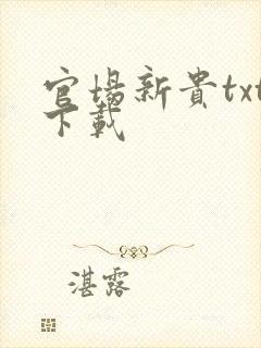 官场新贵txt下载