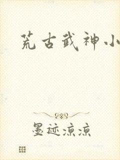 荒古武神小说