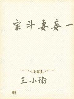 家斗妻妾一家欢