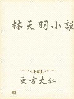 林天羽小说