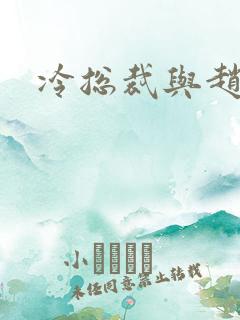 冷总裁与赵大牌