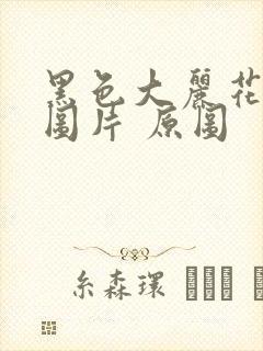 黑色大丽花真实图片 原图