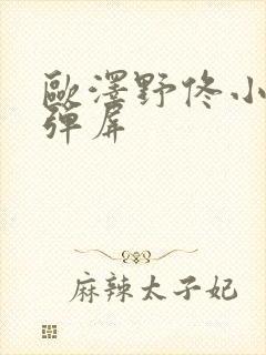 欧泽野佟小曼无弹屏