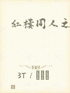红楼同人之新景